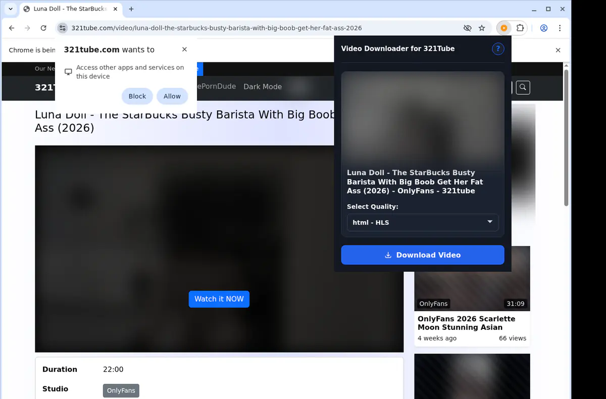 321tube Video Downloader screenshot 3